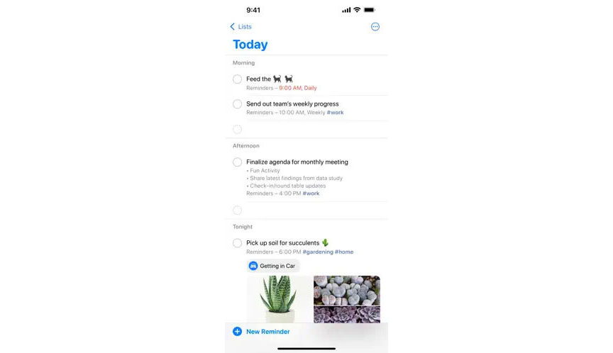 Apple Reminders App
